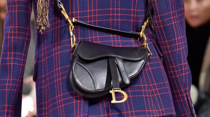 la Saddle Bag di Dior