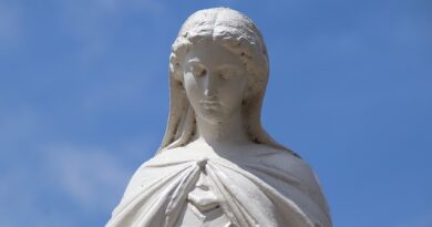 Perchè l’8 dicembre la Chiesa celebra l’Immacolata Concezione della Beata Vergine Maria?